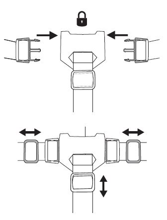 Adjusting the 3-point harness